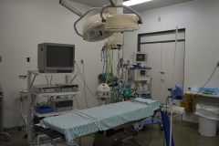 HRMS-Cirurgias-055