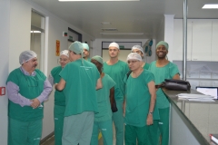 HRMS-Cirurgias-072